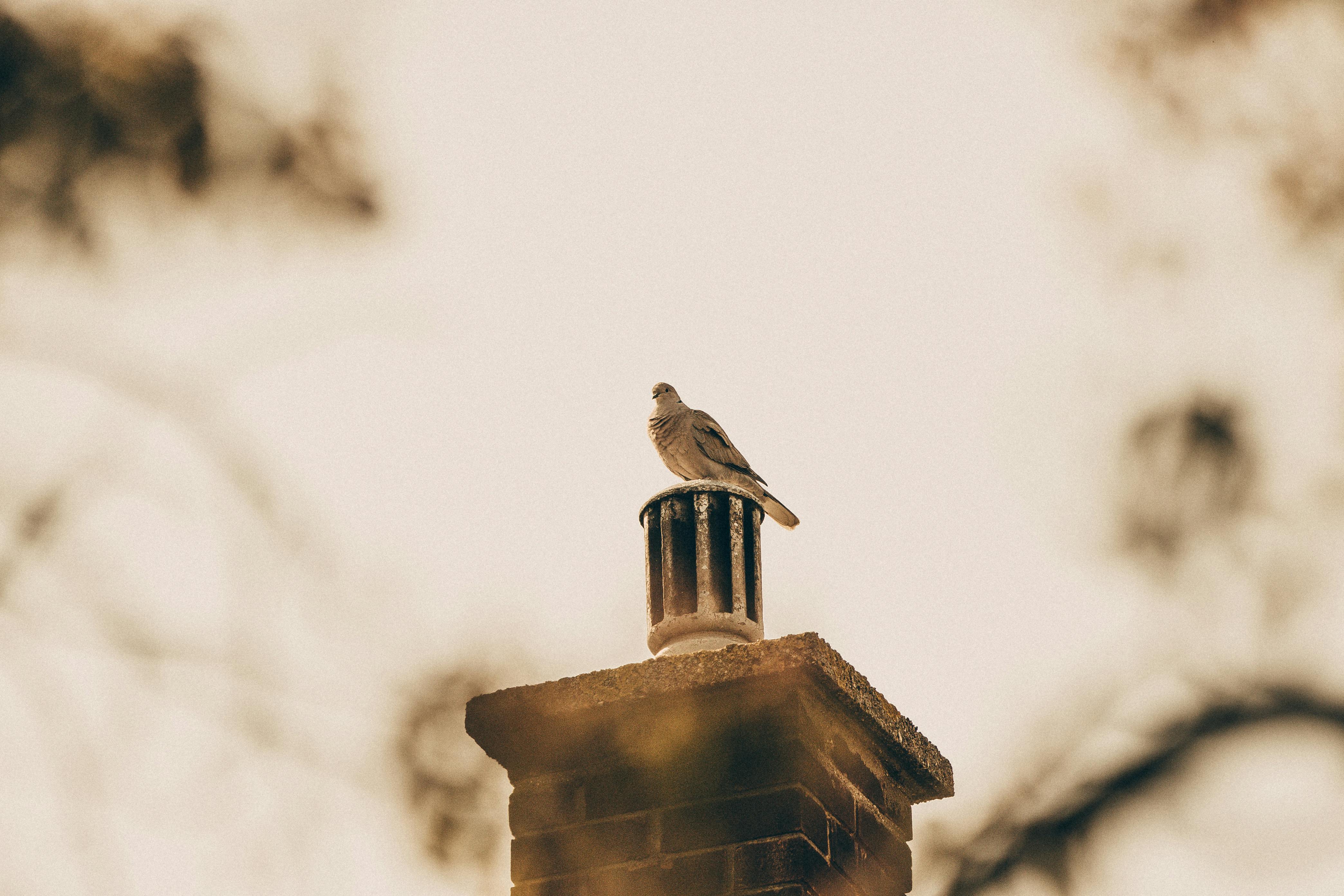 Professional Chimney Cap and Damper In San Diego California